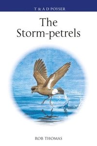 bokomslag The Storm-petrels