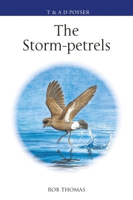 Storm-Petrels 1