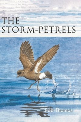 bokomslag The Storm-petrels