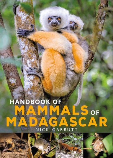 Nick Garbutt - Handbook of Mammals of Madagascar, Inbunden