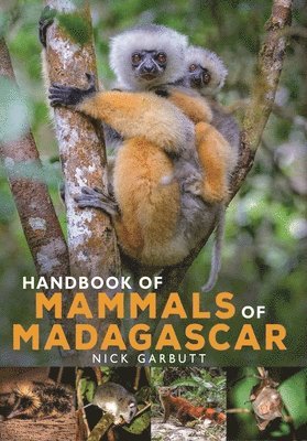 bokomslag Handbook of Mammals of Madagascar