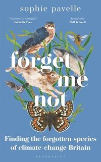 bokomslag Forget Me Not