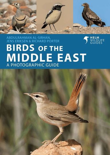 Jens Eriksen, Richard Porter, Abdulrahman Al-Sirhan - Birds of the Middle East, Häftad