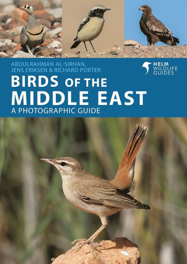 Birds of the Middle East 1