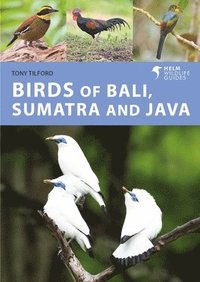 bokomslag Birds of Bali, Sumatra and Java