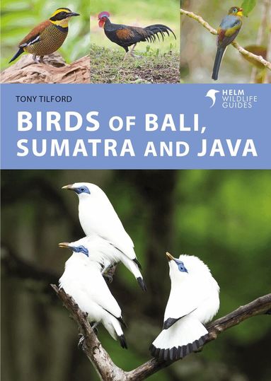 Tony Tilford - Birds of Bali, Sumatra and Java, Häftad