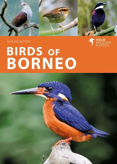 Susan Myers - Birds of Borneo, Häftad