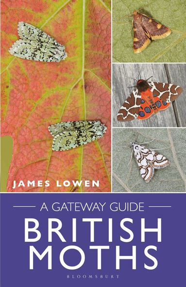 James Lowen - British Moths, Häftad