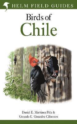 Field Guide to the Birds of Chile 1