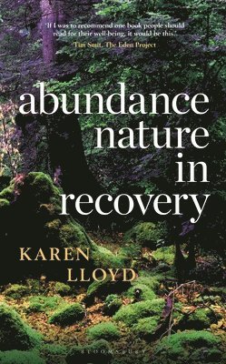 bokomslag Lloyd, K: Abundance