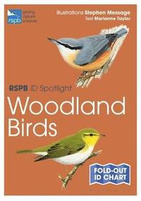 bokomslag RSPB ID Spotlight - Woodland Birds
