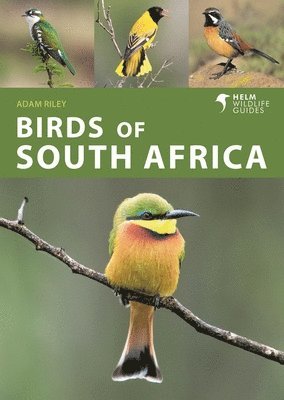 Birds of South Africa 1