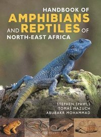 bokomslag Handbook of Amphibians and Reptiles of North-east Africa