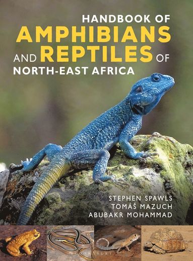 bokomslag Handbook of Amphibians and Reptiles of North-east Africa