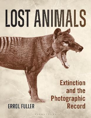 Lost Animals 1