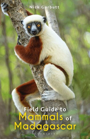 Nick Garbutt - Field Guide to Mammals of Madagascar, Häftad