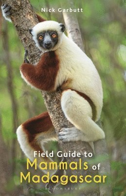 Field Guide to Mammals of Madagascar 1