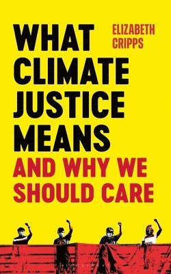 bokomslag What Climate Justice Means And Why We Should Care