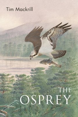 The Osprey 1