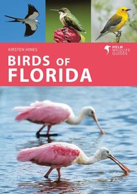 bokomslag Birds of Florida