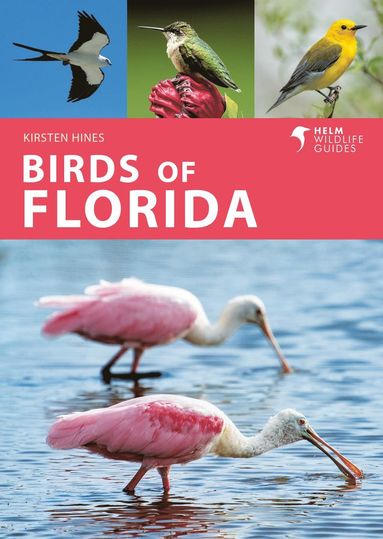 bokomslag Birds of Florida