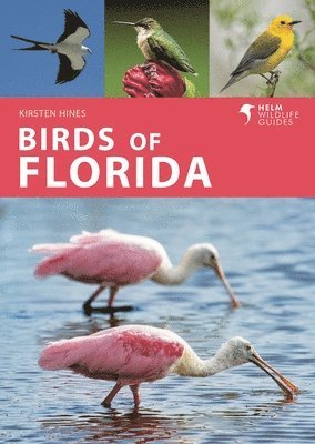 Kirsten Hines - Birds of Florida, Häftad