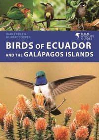 bokomslag Birds of Ecuador and the Galpagos Islands