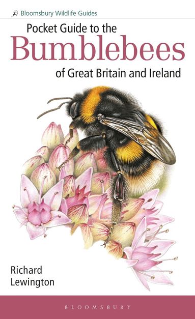 Richard Lewington - Pocket Guide to the Bumblebees of Great Britain and Ireland, Häftad