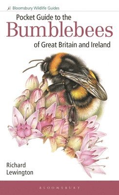 Pocket Guide to the Bumblebees of Great Britain and Ireland 1