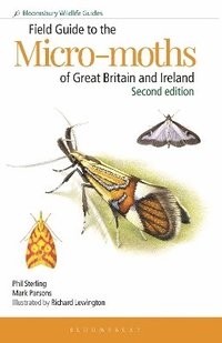 bokomslag Field Guide to the Micro-moths of Great Britain and Ireland: 2nd edition