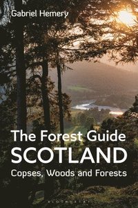 bokomslag The Forest Guide: Scotland