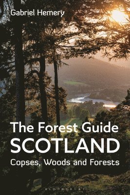 The Forest Guide: Scotland 1