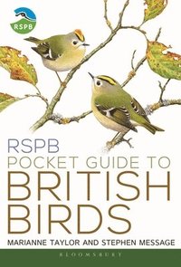 bokomslag RSPB Pocket Guide to British Birds