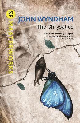 Chrysalids 1