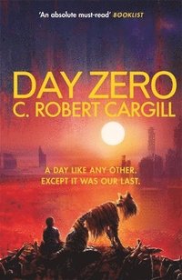 bokomslag Day Zero