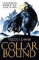 bokomslag The Collarbound