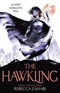 bokomslag The Hawkling