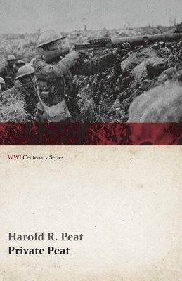 bokomslag Private Peat (WWI Centenary Series)