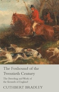 bokomslag The Foxhound of the Twentieth Century - The Breeding and Work of the Kennels of England