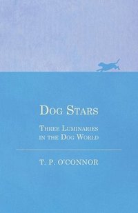 bokomslag Dog Stars - Three Luminaries in the Dog World