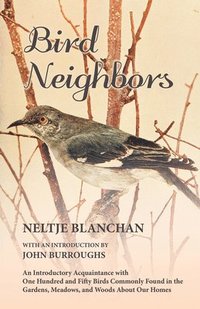 bokomslag Bird Neighbors - An Introductory Acquaintance with One Hundred and Fifty Birds Commonly Found in the Gardens, Meadows, and Woods About Our Homes