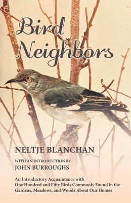 bokomslag Bird Neighbors - An Introductory Acquaintance with One Hundred and Fifty Birds Commonly Found in the Gardens, Meadows, and Woods About Our Homes