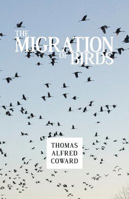 Thomas Alfred Coward - Migration of Birds, Häftad