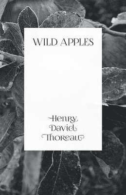 bokomslag Wild Apples