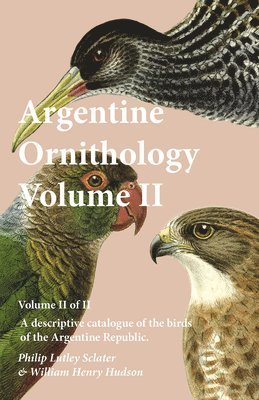 Argentine Ornithology, Volume II (of II) - A descriptive catalogue of the birds of the Argentine Republic. 1