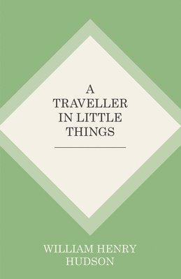 bokomslag A Traveller in Little Things