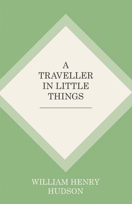 Traveller in Little Things