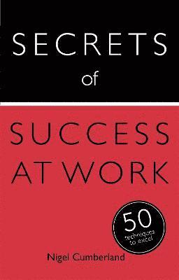 bokomslag Secrets of Success at Work