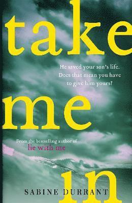 Sabine Durrant - Take Me In, Inbunden