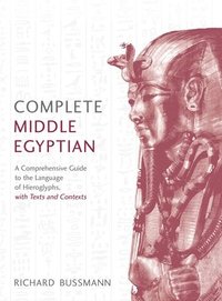 bokomslag Complete Middle Egyptian